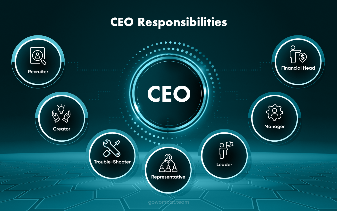 CEO Responsibilities